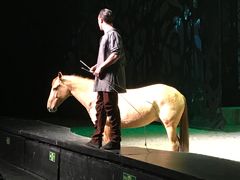 -cavalia·舞马