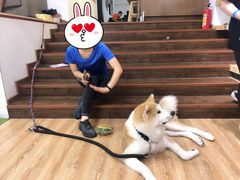 -YCHL Studios健身工作室(市二宫店)