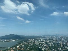 -紫峰大厦