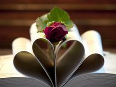 -红菇坊鲜汤火锅(北站店)