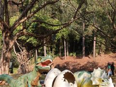 -佛冈森波拉度假区