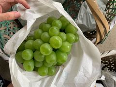 -马陆小张葡萄园农家乐