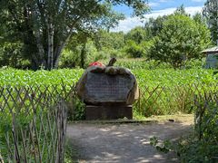 -黑龙江省森林植物园