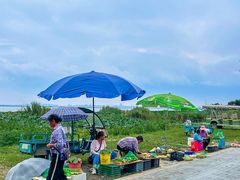 -七的湖·晚芳亭·阳澄湖农家菜·大闸蟹(莲花岛店)