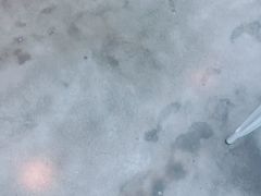 -威尔仕健身(虹桥南丰城店)