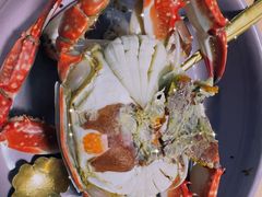 -岳各庄批发市场(西四环中路店)