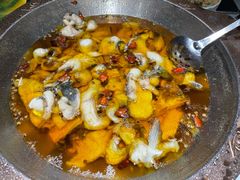 -雲蜀龙阁·金牌水煮鱼(方庄店)