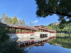 -重庆彩云湖湿地公园