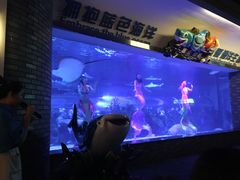 -成都浩海立方海洋公园