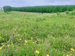 -塞罕坝国家级自然保护区