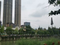 -成都市活水公园
