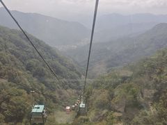 -王顺山国家森林公园
