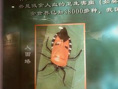 -上海昆虫博物馆