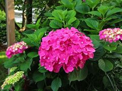 iphone_upload_pic-杭州花家山庄