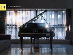 -Melody Mentor音乐私教馆(朝外·悠唐店)