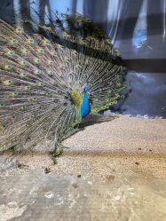 -酷嗒动物文化乐园(cutezoo西溪乐天城店)