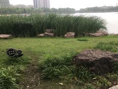 -南翔镇银翔湖公园