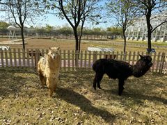 -盈香心动乐园