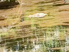 -昆嵛山石门里景区