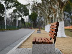 -大宁公园