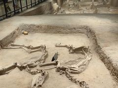 -洛阳周王城天子驾六博物馆