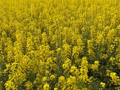 -中国天府农业博览园