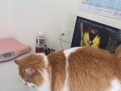 -佳雯宠物医院·皮肤科·内外科(春晓路分院)