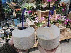 -盒马鲜生(莱蒙都会店)