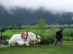-和顺古镇