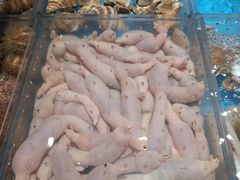 -徐记海鲜(大明宫|北二环店)