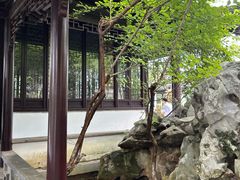 -八大山人梅湖景区