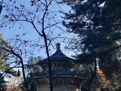 -香山公园