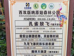 -西双版纳原始森林公园