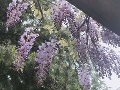 -白塘生态植物园