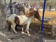 -新疆天山野生动物园