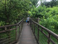 -贵阳市花溪国家城市湿地公园