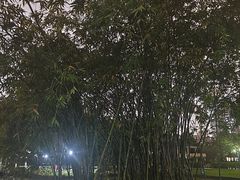 -晓港公园