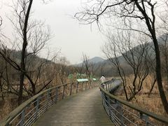 -西湖风景区-江洋畈生态公园