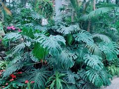 -郑州植物园