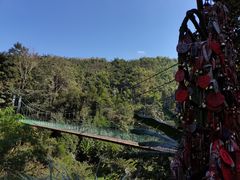 -野象谷景区
