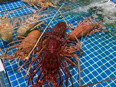 -三亚火车头万人海鲜广场