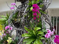 -人民公园(罗湖区)