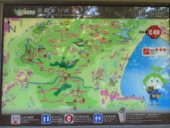 -石排湾郊野公园