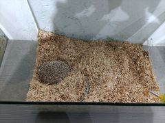 -宁波九龙湖开元度假村