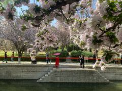 -元大都城垣遗址公园