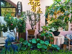 -溪岸路花鸟市场