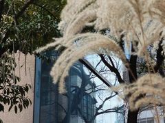 -徐家汇源景区-衡山坊