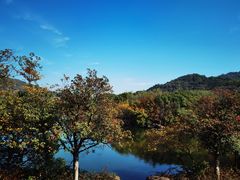 -白马涧龙池景区