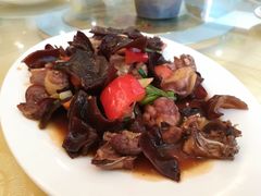 -姑婆山森林酒店