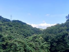 -阳台山森林公园